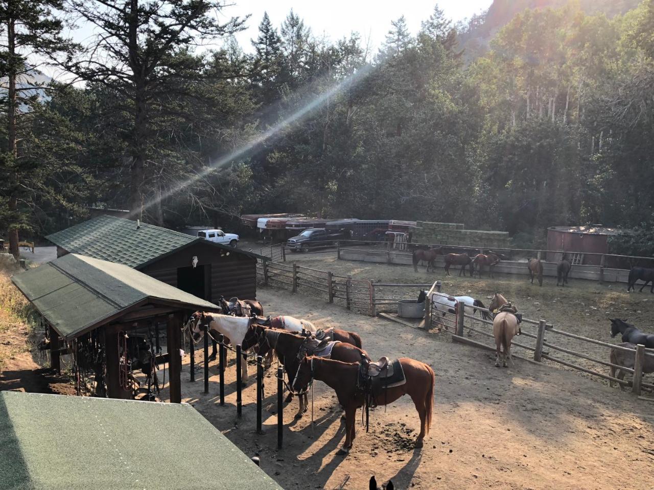 فندق Bill Cody Ranch المظهر الخارجي الصورة