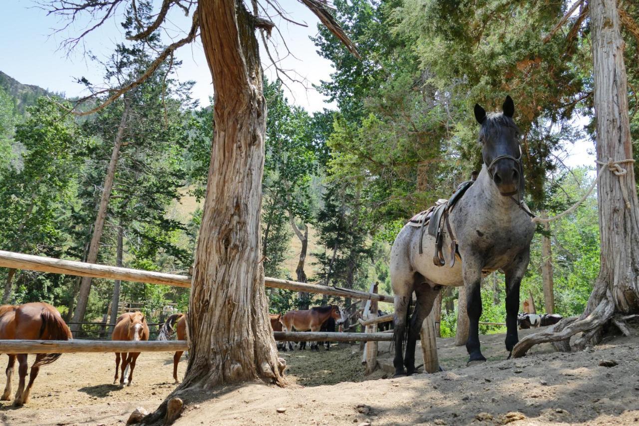 فندق Bill Cody Ranch المظهر الخارجي الصورة