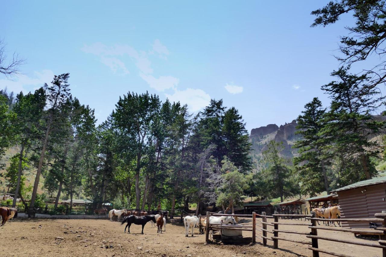 فندق Bill Cody Ranch المظهر الخارجي الصورة