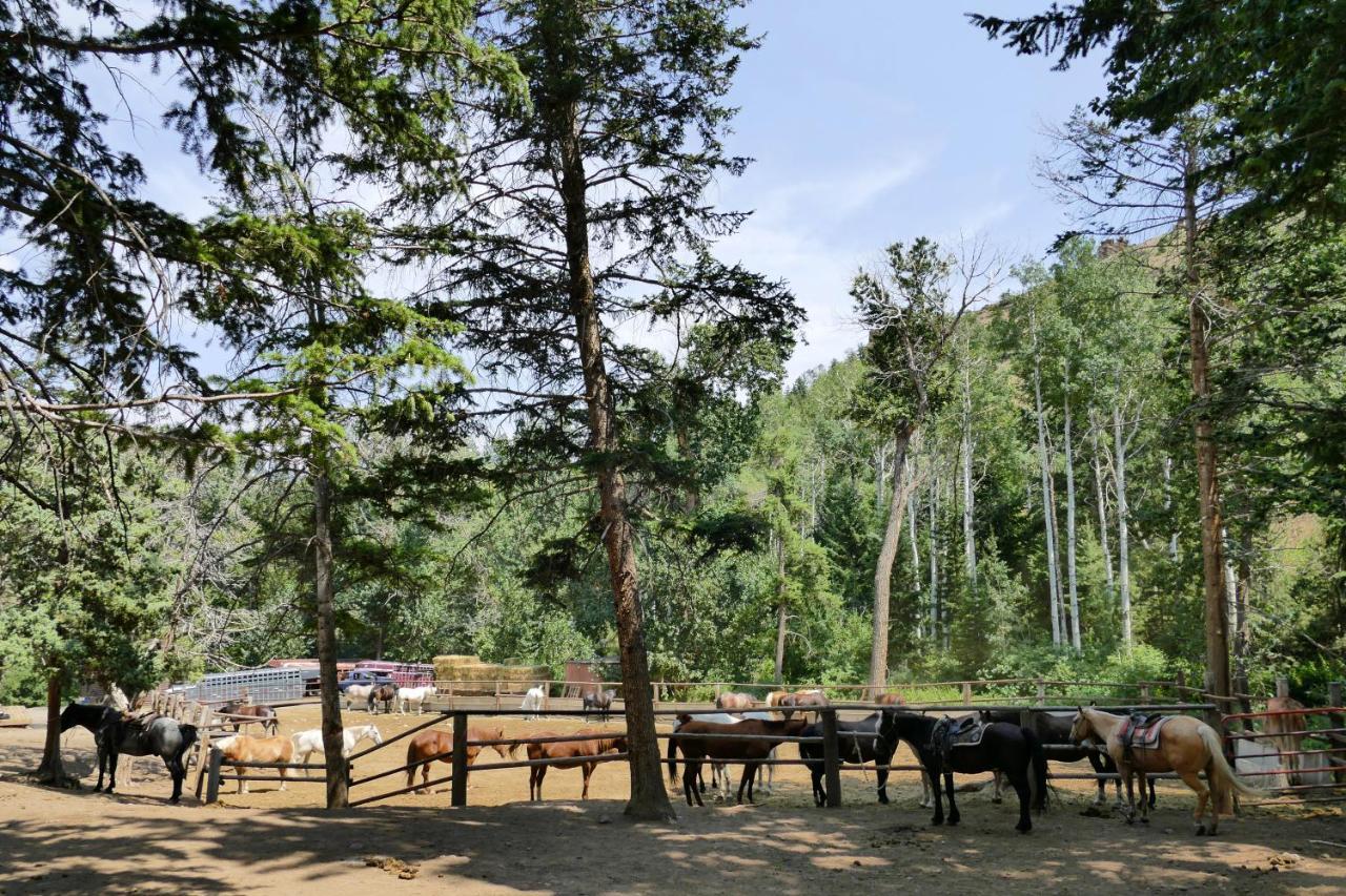 فندق Bill Cody Ranch المظهر الخارجي الصورة