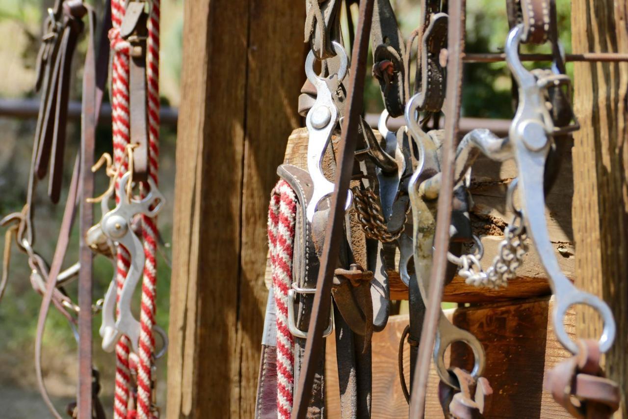 فندق Bill Cody Ranch المظهر الخارجي الصورة