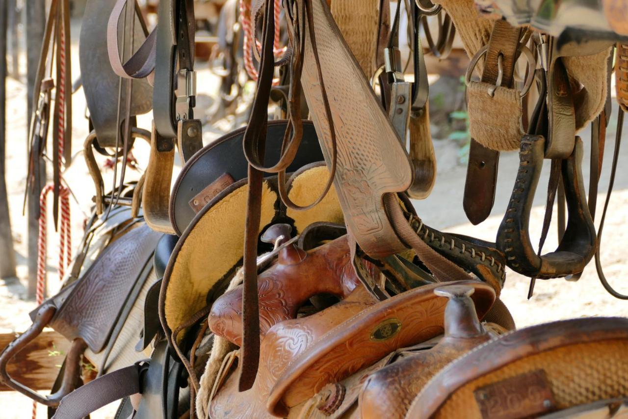 فندق Bill Cody Ranch المظهر الخارجي الصورة